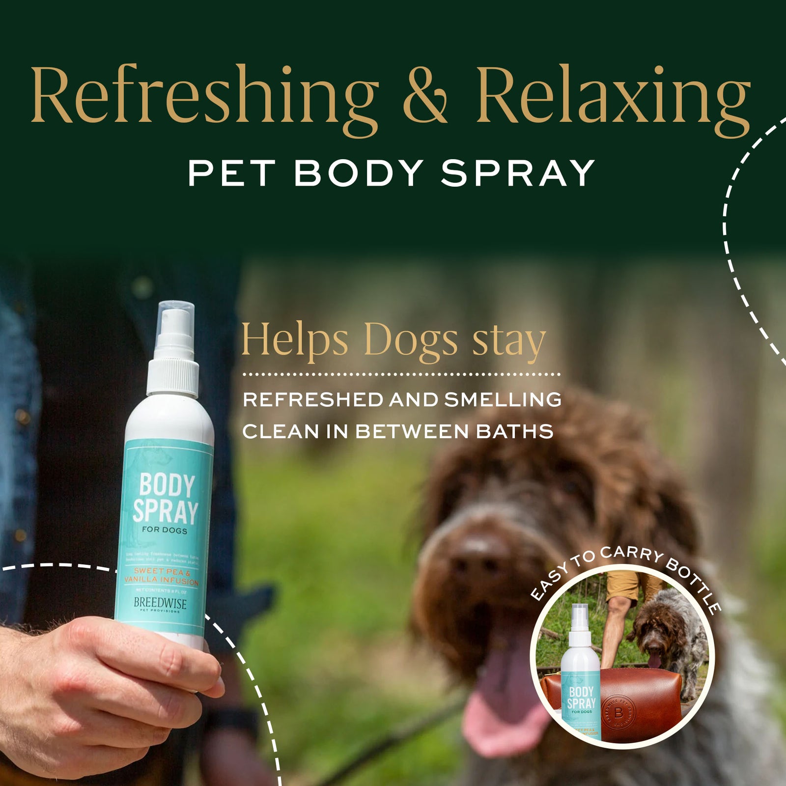 Dog refreshing spray best sale