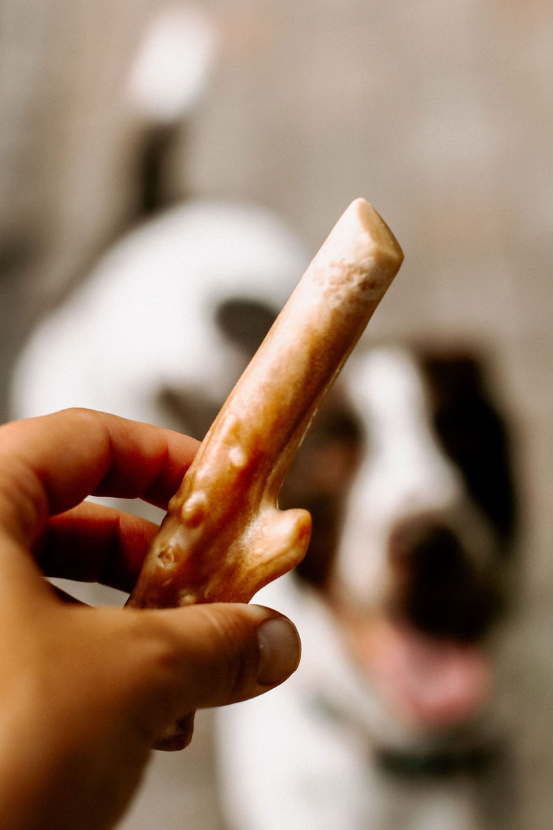 Trophy Chews™ Antler-Shaped Dental Treats