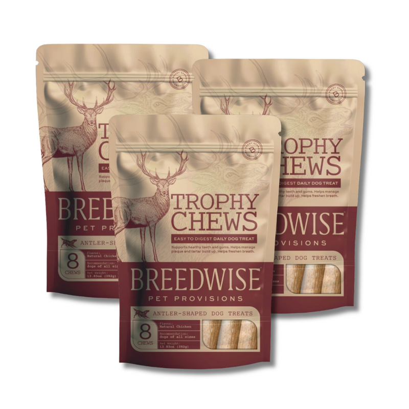 Trophy Chews™ Antler-Shaped Dental Treats