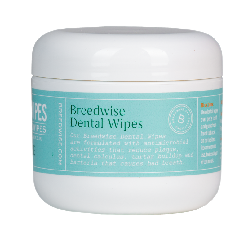 12 Jars - Dental Wipes Wholesale